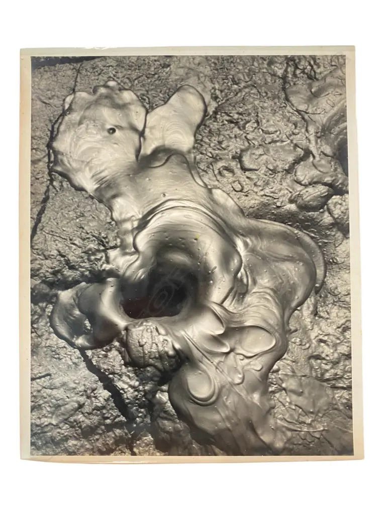 Theo Schoon (1915-85) 'Mud pool', Image 1++